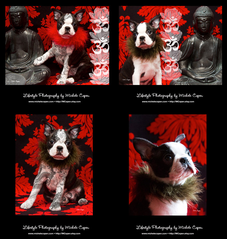 The_Tibet_Collection768c